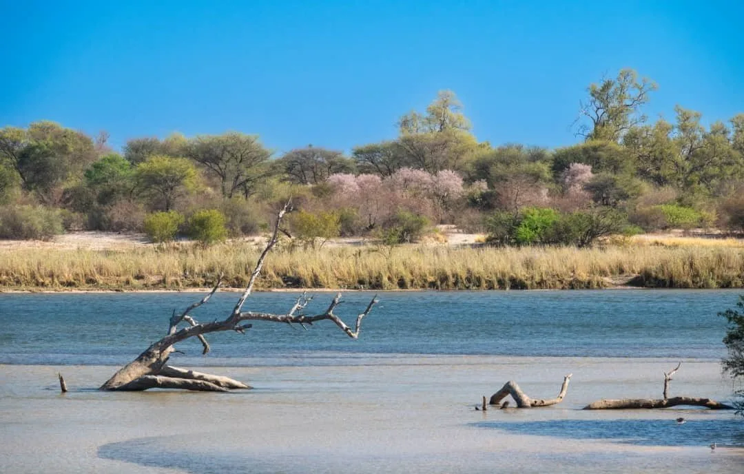 Landscape across the Namibia Berries farm