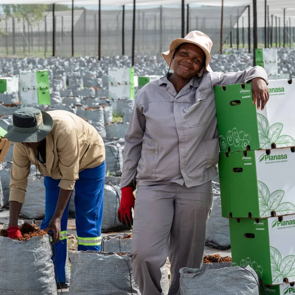 The Namibia Berries planting team