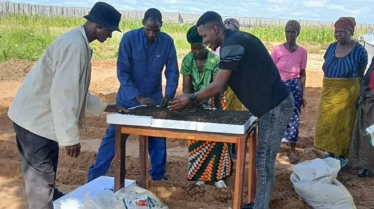 The community conservation farming initiative near Divundu